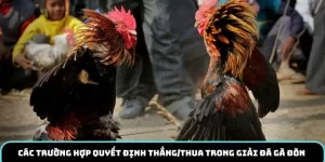 Các trường hợp quyết định thắng/thua trong giải đá gà đòn 