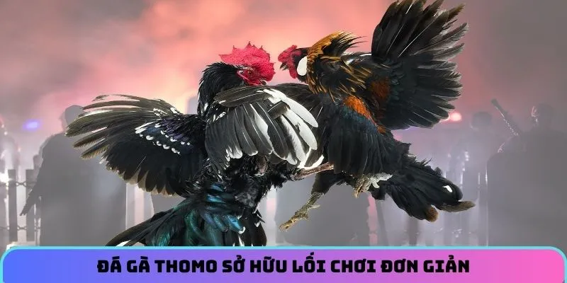 Đá gà Thomo sở hữu lối chơi đơn giản
