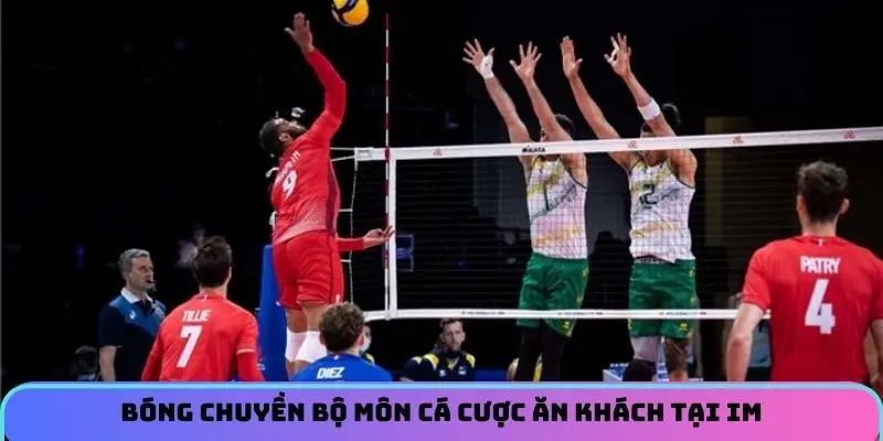 Bóng chuyền bộ môn cá cược ăn khách tại IM