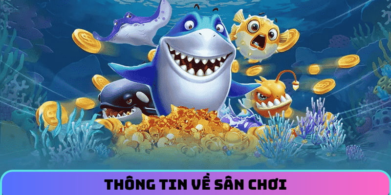 Đôi nét về sân chơi