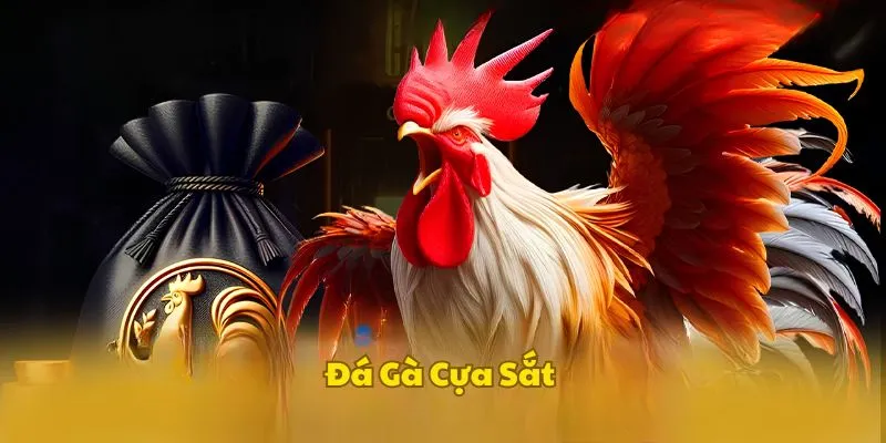 Tổng quan cơ bản về đá gà cựa sắt
