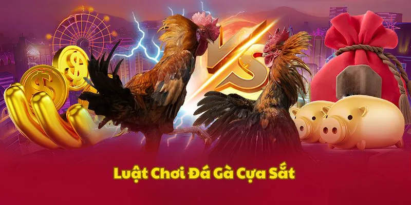 Quy tắc tham gia chọi kê cựa sắt
