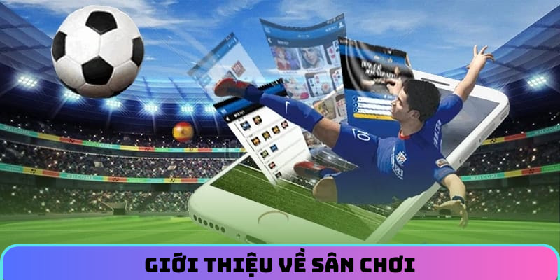 Giới thiệu về sân chơi